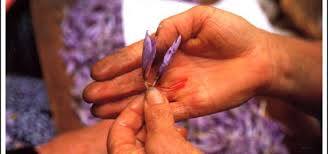 22141041_275566982948531_6460689044875572990_n