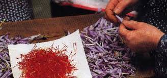 22154234_275566959615200_6555317540284895683_n