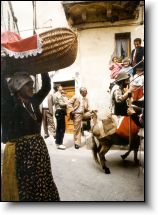 St. Dominick and the Wolf