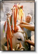 The Ox and San Zopito