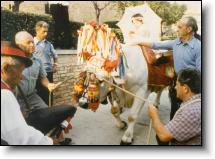 The Ox and San Zopito