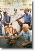 The Ox and San Zopito