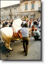 The Ox and San Zopito