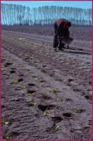 Good Friday in Celano