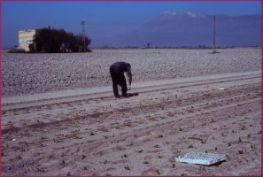 Good Friday in Celano