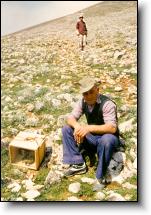 St. Dominick snake rites in Cocullo