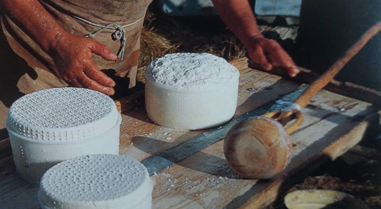 Galleria Luglio 2018