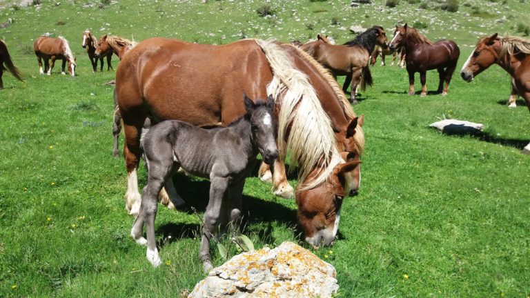 Galleria Settembre 2018